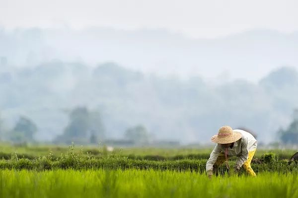 入夏前,最舒服的时刻就是现在→