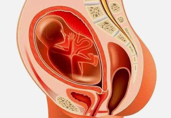 进入孕7月后,三个问题孕妈要多留心,关系着胎儿发育