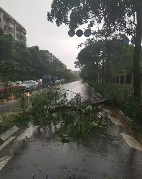 狂风暴雨席卷而来,一幕幕暖心画面不断涌现!