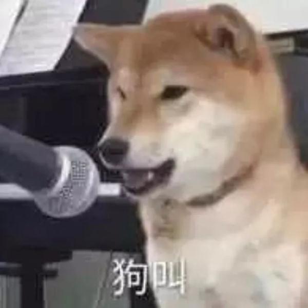 “祝愿我的小猪佩奇们,以后的路越来越好!” “祝愿我的小猪佩奇们,以后的路越来越好!”