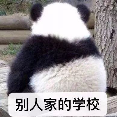 “祝愿我的小猪佩奇们,以后的路越来越好!” “祝愿我的小猪佩奇们,以后的路越来越好!”
