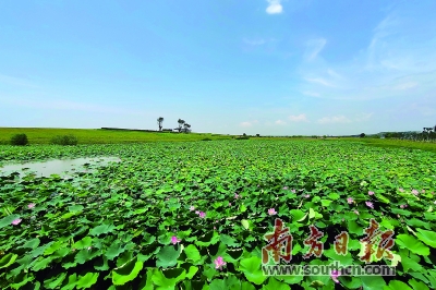 山水林田湖草