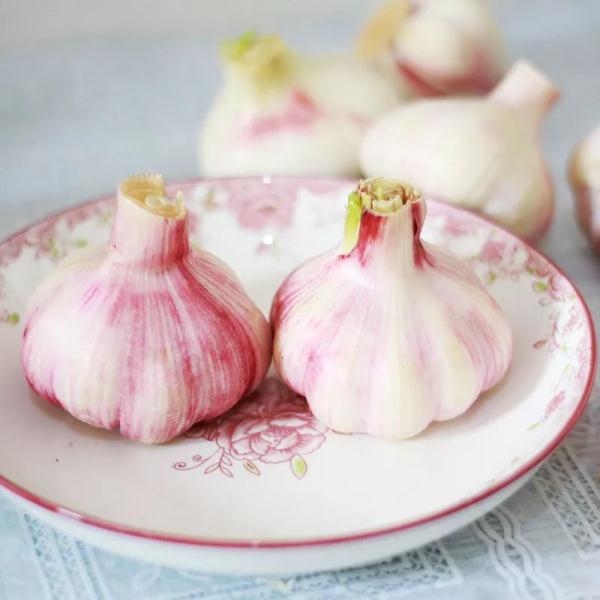 幽门螺杆菌最怕四种食物,长期坚持,四种胃病会离你更远! 幽门螺杆菌最怕四种食物,长期坚持,四种胃病会离你更远!