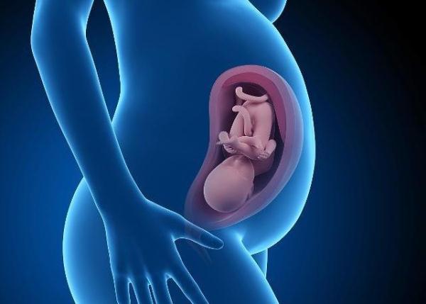 怀孕期间,做四维彩超时,为什么胎儿经常会捂着脸?