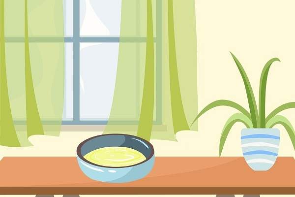 在屋里放一碗糖水真的能驅蚊嗎？