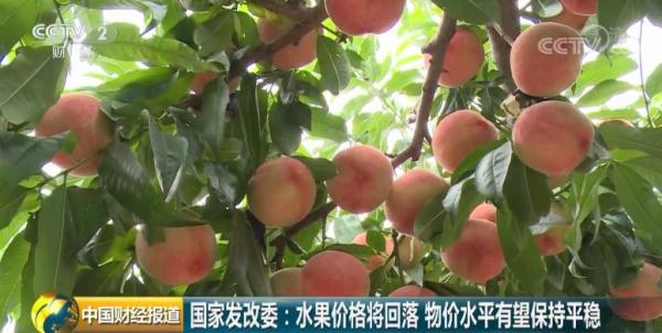  官!宣!了!水果、蔬菜、猪肉价格怎么走?国家发改委刚刚回应→ 官!宣!了!水果、蔬菜、猪肉价格怎么走?国家发改委刚刚回应→
