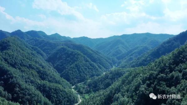 朱阳关人口_卢氏朱阳关城区图片(3)