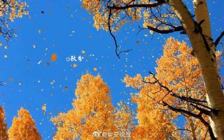 今日秋分，正式入秋！