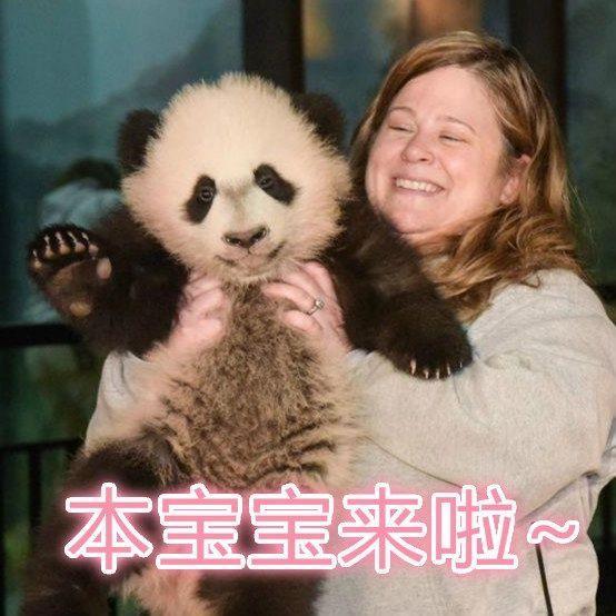 中国“顶流”要回家,美国人的反应是这样的