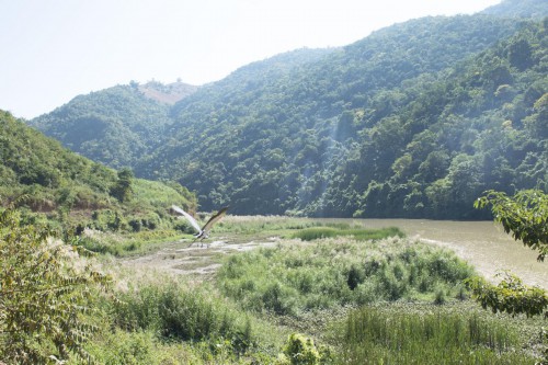 保山市人口有多少_保山市地图(3)