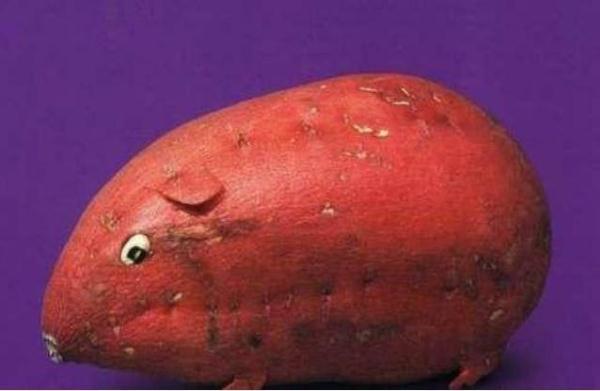 幼儿园布置亲子作业，看到成品之后网友笑喷