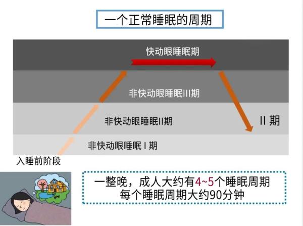 鬼压床,在医学上称为睡眠瘫痪症,是一种正常的生理现象.