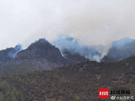 甘孜州森林消防支队获悉,4月8日17时43分,九龙县三岩龙乡柏林村古组