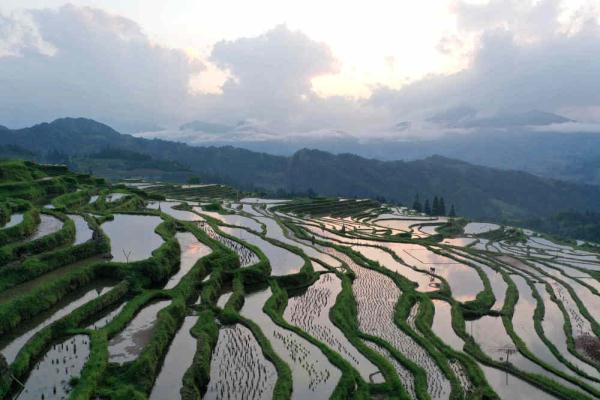 4月20日在贵州省从江县翠里瑶族壮族乡拍摄的南丰梯田雨后景色(无