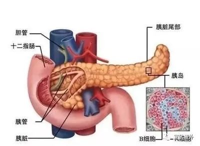 能吃能喝也许不是"福"而是"祸"