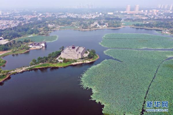 近年来,河北省河间市持续推进生态公园建设,通过实施水系连通,微