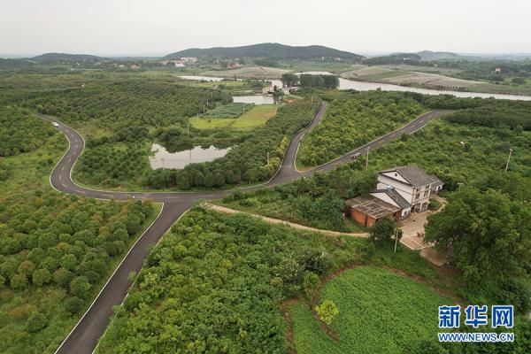 安陆市王义贞镇朱桥村牡丹园环形路.新华网发