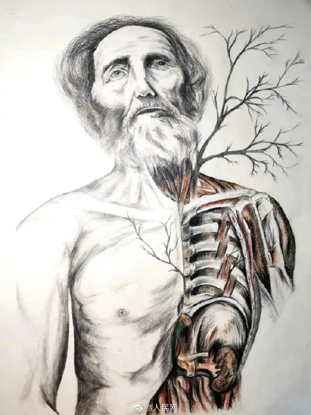 来吧展示兰大医学生手绘人体解剖图