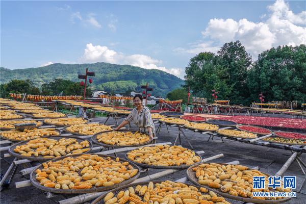 9月16日,游人在黄山区呈坎村的晾晒场上观赏农民秋收的果实.