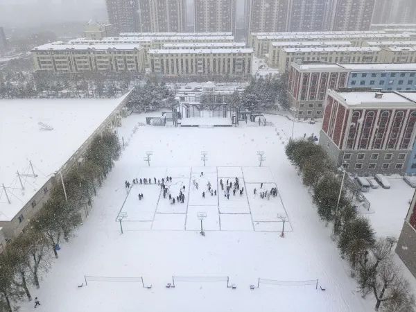 长春这所学校的这幅"雪地画"太吸睛!