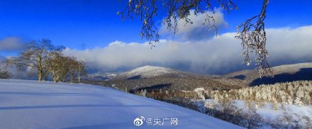雪深超一米黑龙江凤凰山高山雪原风姿初现