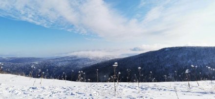 雪深超一米黑龙江凤凰山高山雪原风姿初现