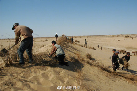 科尔沁沙地变绿了