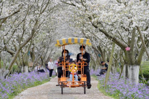 这是位于江西省南昌县的凤凰沟景区(3月16日摄,无人机照片).