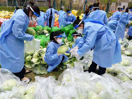 高铁乘务员分拣蔬菜