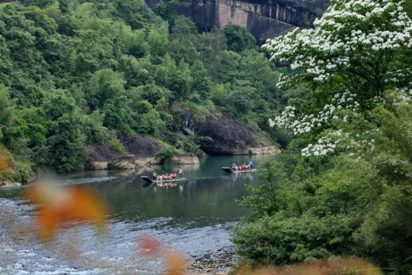 福建武夷山国家公园的第一个中国旅游日