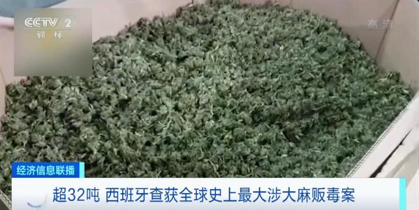 全球史上最大涉大麻贩毒案超32吨被查获