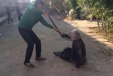 子女不孝顺事件盘点 老年人如何维权(4)