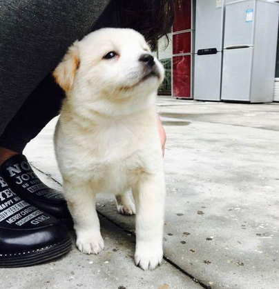 图为先锋影音偷拍自拍播放 警告本网站成人内容收集于全世界的互联网网站在美国www881xpcom高清图片