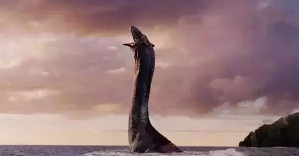 云南曲靖水塘的巨型水怪原来是这个