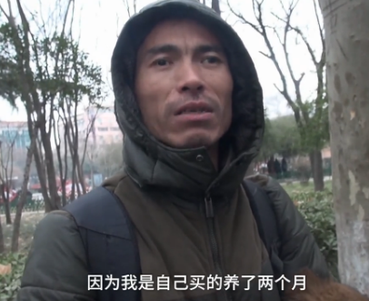 男子在街头流泪送狗 得知真相后网友表示大哥算好的了
