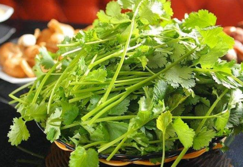 这道菜很简单,但想起来就流口水"凉拌香菜"湘妹子都爱吃