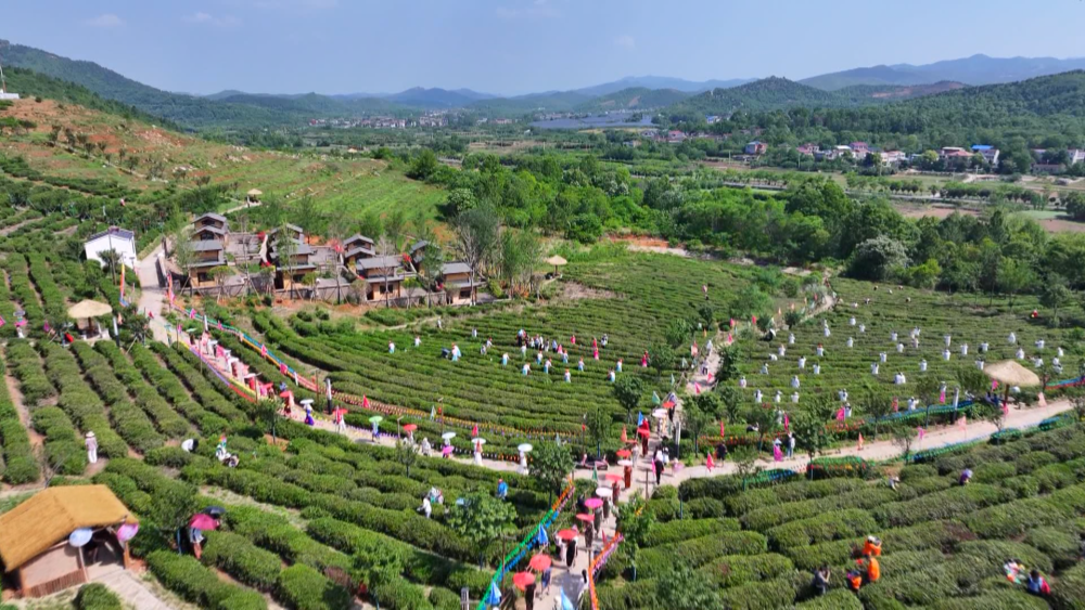 春日经济新图景｜“赏花经济”开出“四季春”