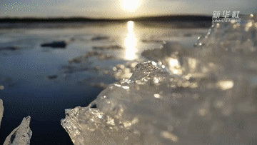 跟着总书记的考察足迹|这里是中国极北之地——漠河 跟着总书记的考察足迹|这里是中国极北之地——漠河