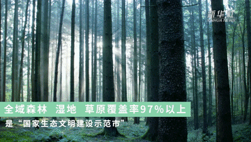 跟着总书记的考察足迹|这里是中国极北之地——漠河 跟着总书记的考察足迹|这里是中国极北之地——漠河