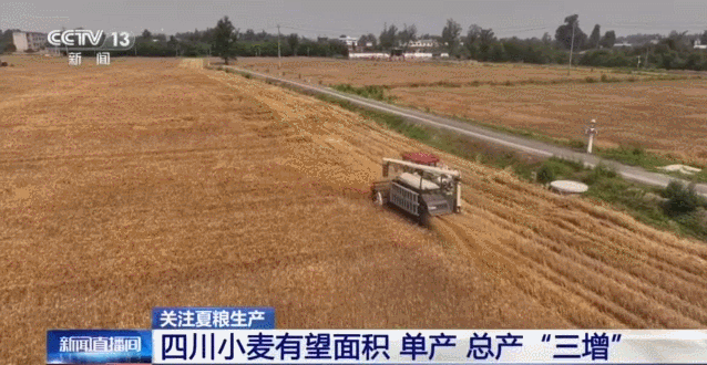 加强田管保丰收 这些科技手段省时省力还省心