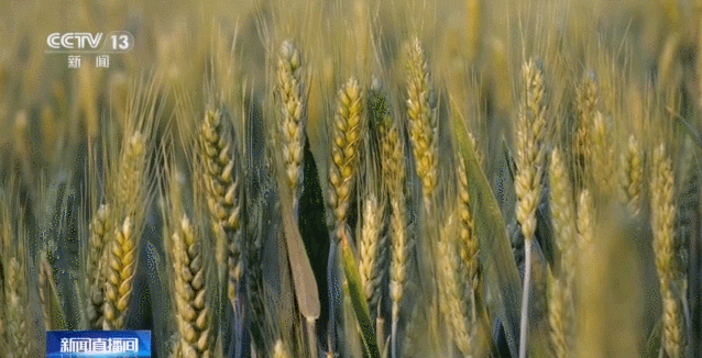 加强田管保丰收 这些科技手段省时省力还省心