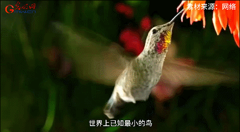 【大国重器零距离】60皮秒!这架“超级快门相机”有点牛 【大国重器零距离】60皮秒!这架“超级快门相机”有点牛