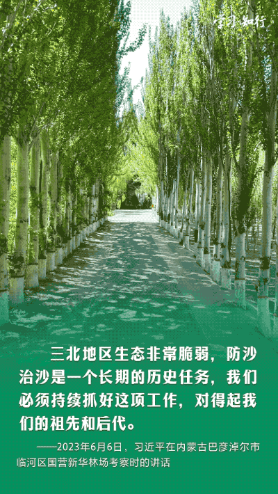 学习·知行丨书写绿色奇迹 习近平指引走好中国特色防沙治沙之路