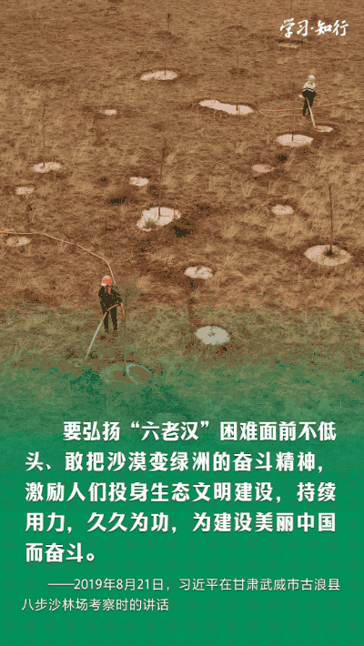 学习·知行丨书写绿色奇迹 习近平指引走好中国特色防沙治沙之路