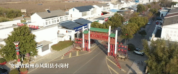 总书记的春天之约|让农民吃上“定心丸” 总书记的春天之约|让农民吃上“定心丸”