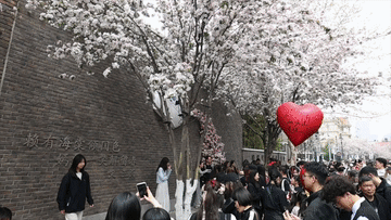 消费市场供需旺 文旅融合春潮涌——2025年清明假期经济观察