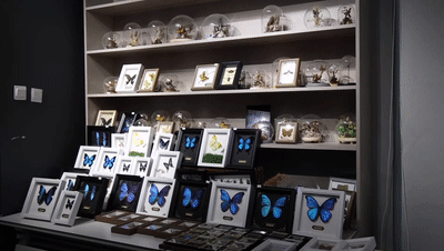 精准发力、多方协同——促进高校毕业生高质量充分就业见闻