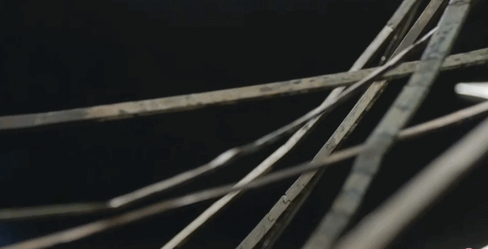 文博日历丨“节约”“比较”都源于它 秦代“座驾”藏着多少现代密码?