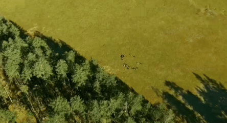 领航2025｜文化之力