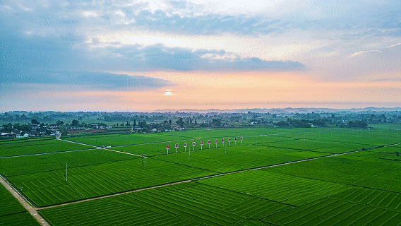 行稳致远开新局丨打造西部重要增长极,“川”潮何以澎湃?